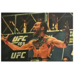 マルゴメドフ　VS　コナーマクレガー　パネル付き　特大ポスター　横1.5ｍ Amazon.co.jp: Conor Mcgregorコナー・マクレガー 中指ポスター