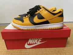 NIKE DUNK LOW RETRO