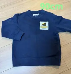 Item thumbnail for item 4dcf162f-1107-4515-8481-14f618603ce8