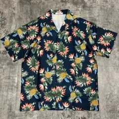 Item thumbnail for item 59d8586e-8b73-4680-8127-de00ce1024b5