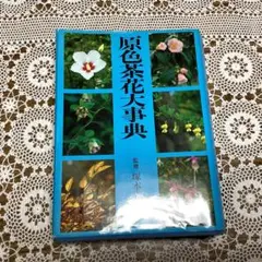 B 163              茶花大辞典     淡交社・7～12月 B 163 茶花大辞典 淡交社・7～12月 - メルカリ