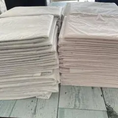 Item thumbnail for item 4836c8b6-0f55-45be-9903-f59ff9b5e709