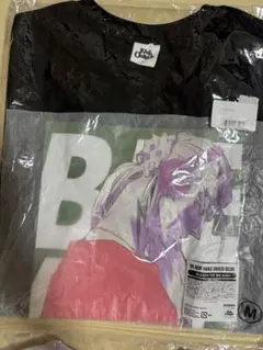 Item thumbnail for item 4a23a243-6f1a-434d-b288-033607551397