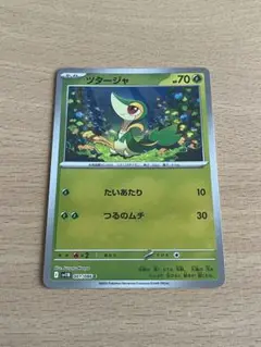 ポケモンカード ●ツタージャ●C モンスターボール　ミラー●ブラックボルト