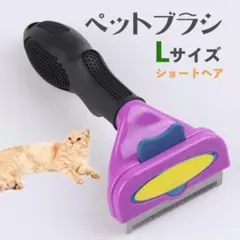 Item thumbnail for item 55c597f2-1743-4987-a8c4-953c47f197b0