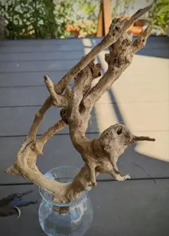 Item thumbnail for item b2a5f2c2-445f-4635-bc6c-eb8ff950405b