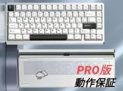 WOB Rainy75 Pro ギャラクティック シルバー 新品