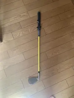 Item thumbnail for item 681238c8-3628-42b4-9ab0-36890892cf98