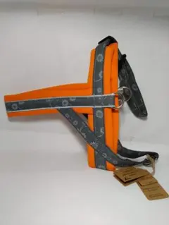 Item thumbnail for item c73da3d2-b42f-44b4-bfff-2dfebeb8c8e3