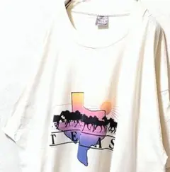 USA製フルーツオブザルーム テキサス ロゴ Tシャツ ホワイト白2XL古着