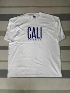 Item thumbnail for item a721acd3-606b-4163-abcb-4f713561581a