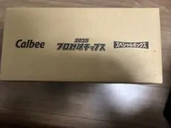 カルビー 2025 プロ野球チップス スペシャルボックス 第1弾