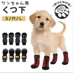 Item thumbnail for item b9cadfd6-5079-4dcd-bdb1-c6a416eb9904
