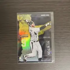 Item thumbnail for item 0c8134cd-8b25-4e9a-91ab-210af7aceb48