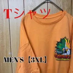 TS166【US輸入】半袖Tシャツ【メンズ3XL相当】オレンジ