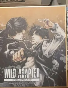 ワイルドアダプター wild adapterアニメイト 缶バッジ　色紙