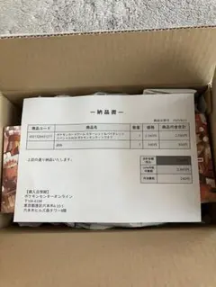 【新品未開封】公式オンライン購入 ポケモンセンタートウホク スペシャルBOX