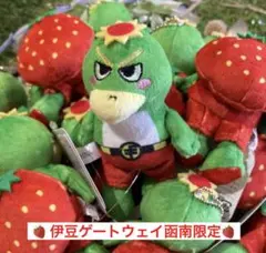 伊豆ゲートウェイ函南 マモリくん マスコット　ぬいぐるみ　いちごバージョン