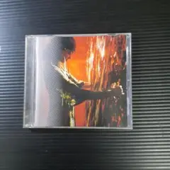 【CD】安室奈美恵【Concentration 20】