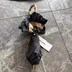 Item thumbnail for item 02d6309b-bcb5-47c4-b7f9-49bbad48420f