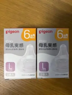 ピジョン 母乳実感 乳首 Lサイズ 4個 B