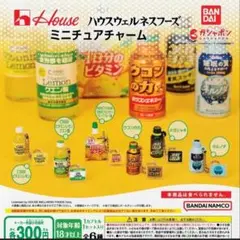 【フルコンプ】ハウスウェルネスミニチュアチャーム ガチャ ウコンの力 メガシャキ