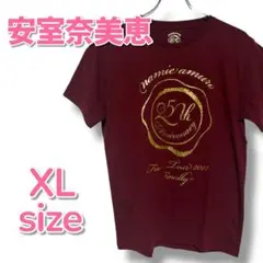 【新品未使用】安室奈美恵25周年 ファイナル ツアー Tシャツ 2018年 ②