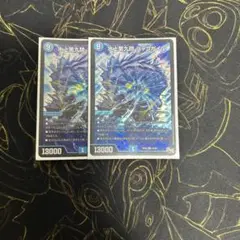 水上第九院 シャコガイル 2枚