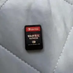 ゼルダ無双　厄災の黙示録 Nintendo Switch ソフトのみ