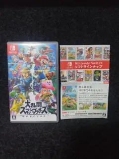 Switch　大乱闘スマッシュブラザーズSPECIAL　ケース・チラシのみ