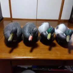 Item thumbnail for item 5065294f-8aea-45c2-9480-631aff7eb2a4