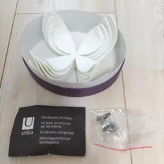白い花びら　立体　マグネット（大小5枚セット）