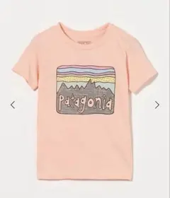 【新品未使用】パタゴニアTシャツ　キッズ110 120 5Tサイズ