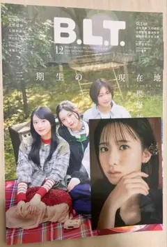 B.L.T. 2024 12月号 櫻坂46
