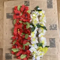 フラダンスレイ 2点セット