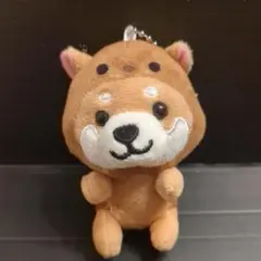 旅するマメしば 北海道バージョン エゾシマリス