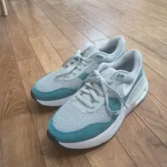 Nike Air max DM9537 27.0