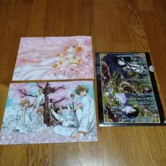 新品未開封　CLAMP フェスティバル　2012　クリアファイル　3枚セット 2025年最新】clamp festivalの人気アイテム - メルカリ