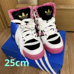 【激レア】adidas アディダス ATTD HI W