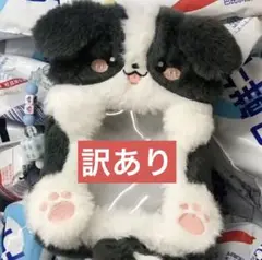 訳あり　トレカホルダー　トレカケース　イヌ　犬　韓国　推し活　ボーダーコリー