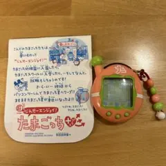 超じんせーエンジョイ! たまごっち プラス ぴんくセーター 2025年最新】超じんせーエンジョイ!たまごっちプラス ぴんく