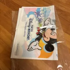 ディズニーランド　ショッパー3枚
