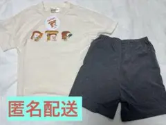 Item thumbnail for item af09c365-713c-4707-a806-cb5ca03882cd