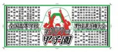 第107回全国高校野球選手権大会記念全校名入りフェイスタオル【夏の甲子園 】