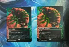 MTG 怒り狂う山峡/Raging Ravine EOS ボーダーレス 2枚