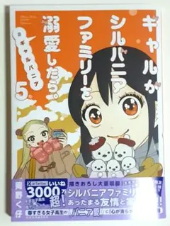 ギャルがシルバニアファミリーを溺愛したら。#ギャルバニア(5)