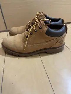 Item thumbnail for item 12e11d87-b20d-45a9-9c3d-db6b760ac446