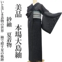 美品 紗紬 夏着物 正絹“いと美しき着物の世界”仕付け糸付 本場大島紬 6536