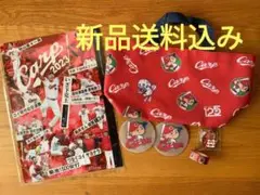 新品送料込み匿名配送非売品広島限定カープ一岡竜司選手キーホルダー
