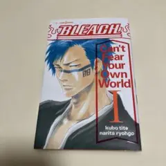 BLEACH Can't Fear Your Own World 1